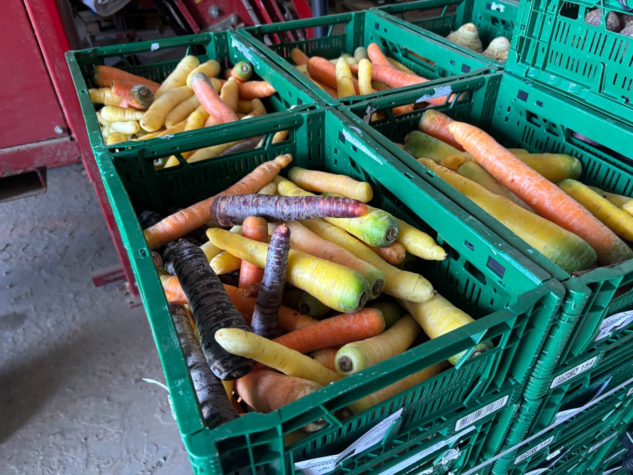 6000kg regenboogwortelen gered - WasteWarriors