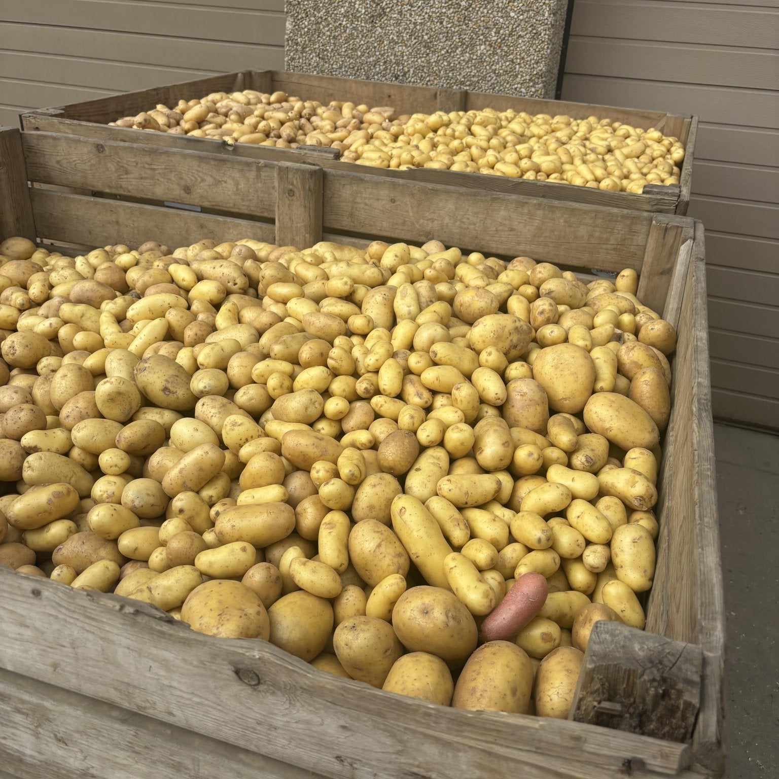 Donatie voedselbank 10kg aardappelen - WasteWarriors