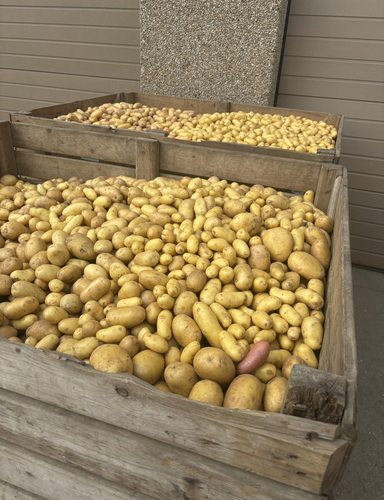 Donatie voedselbank 10kg aardappelen - WasteWarriors