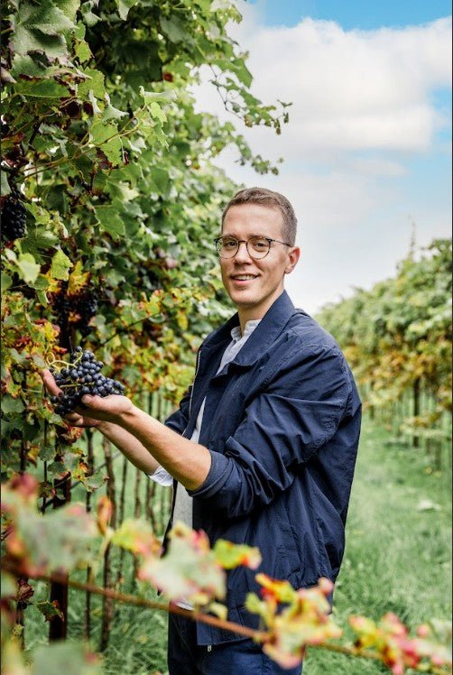 Wandeling langs de ranken - WasteWarriors